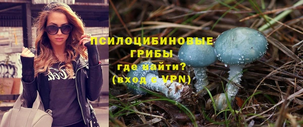 сатива Алексеевка