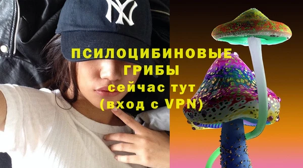 сатива Алексеевка