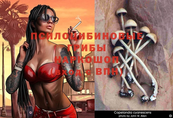 скорость Алексин