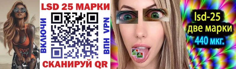 kraken маркетплейс  маркетплейс официальный сайт  Марки N-bome 1500мкг  Моздок 