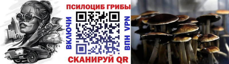 Псилоцибиновые грибы GOLDEN TEACHER  Моздок 